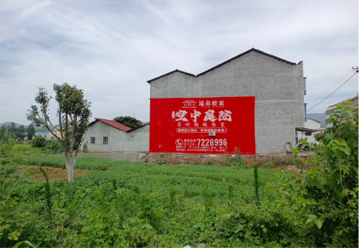 随县做墙体广告的意义