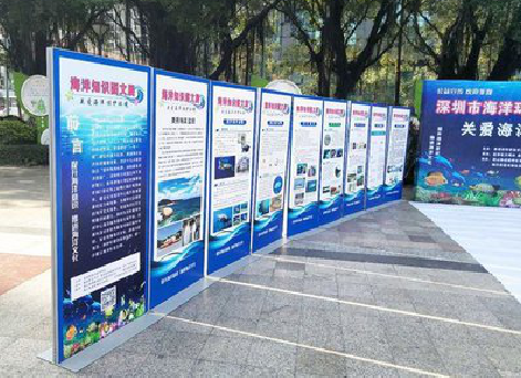 随县KT板的种类和知识。